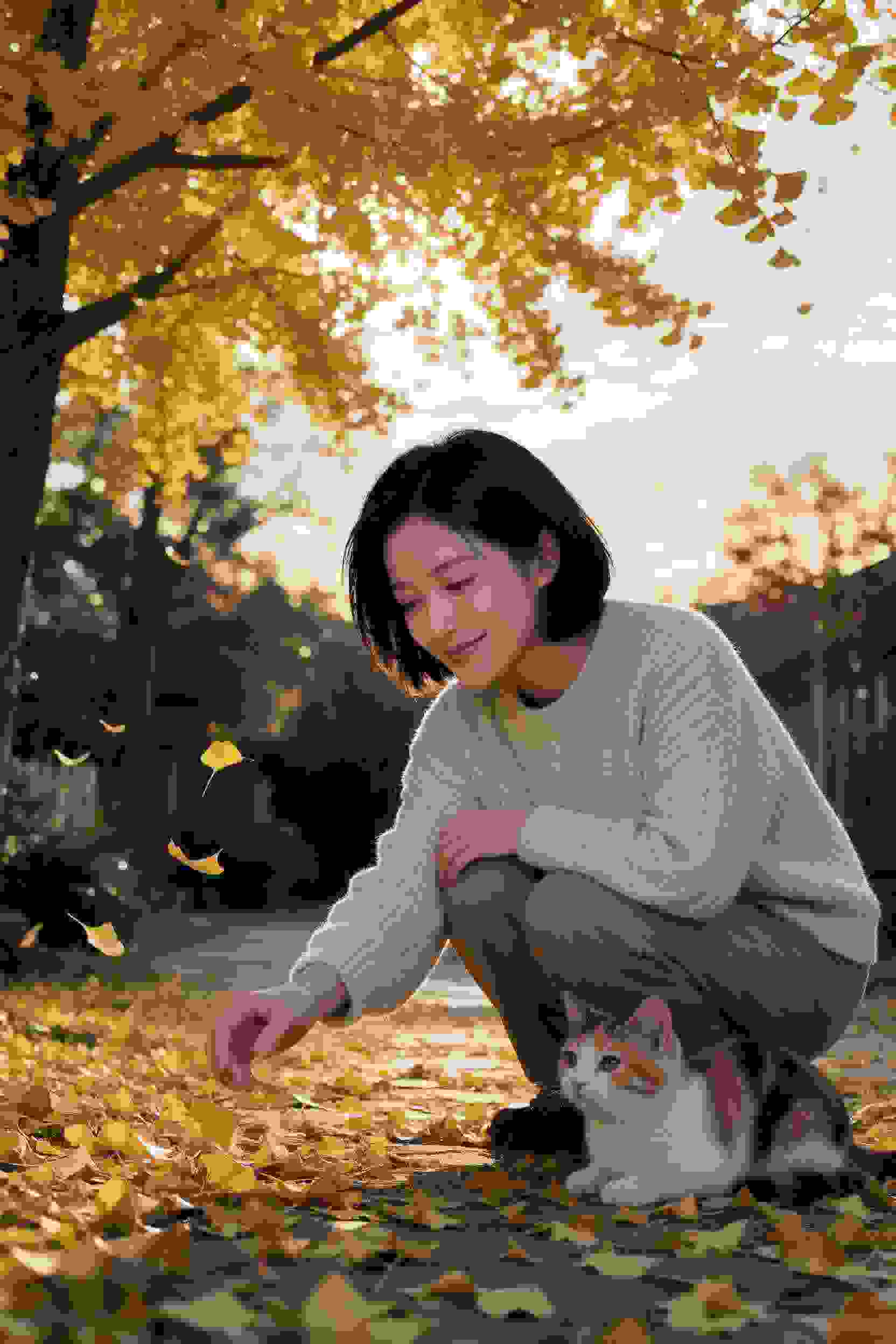 漫改短剧